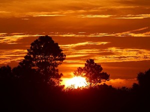 Sense of optimism illuminates money markets