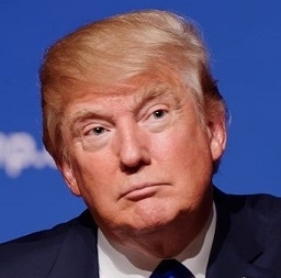 Donald Trump's travel ban has led to investors moving into other safe havens, with JPY and Gold being the short term winners. Donald Trump's travel ban has led to investors moving into other safe havens, with JPY and Gold being the short term winners.
